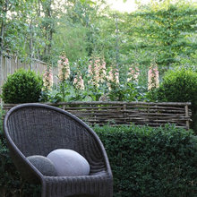 my garden