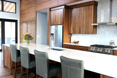 Kitchen - contemporary kitchen idea in Other