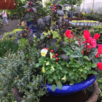 Planters