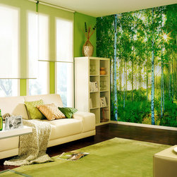 National Geographic Murals - Wall Decals