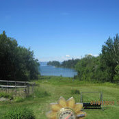 Ellen Smith's photo