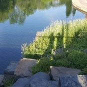 Nora Sargent's photo