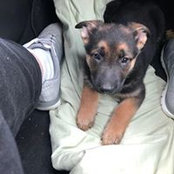 Kathy Smith's photo