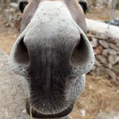 Foto von Σταυρούλα Βεντούρι