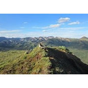 Christopher Hollinger's photo