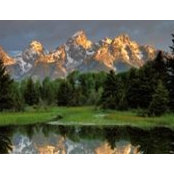 Nancy Kaufman's photo