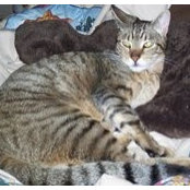 Helen Gorder's photo