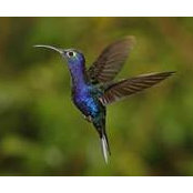 Elly Gilmore's photo