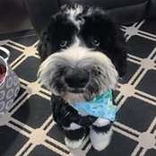Paula Newsom's photo
