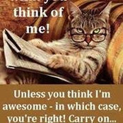 Liana Mauro's photo
