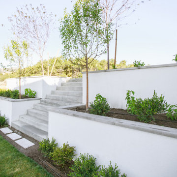Retaining Wall With Shrubs