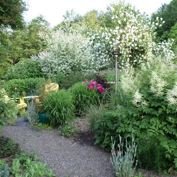 Rustic Cabin Cottage Garden