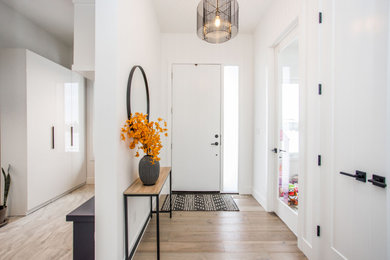 Example of a minimalist entryway design in Other