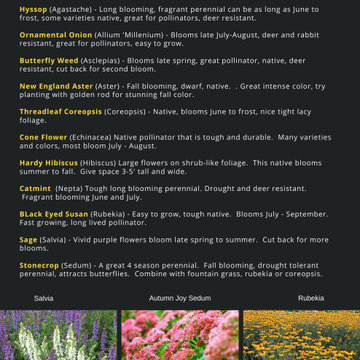 Landscaping tips and resources