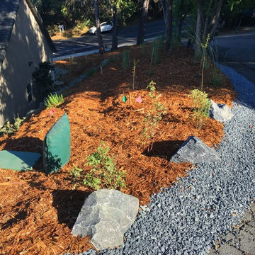 Placerville Woodland Garden
