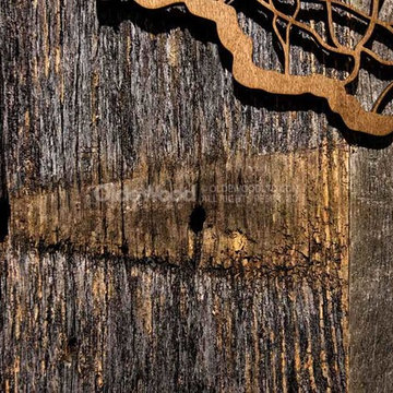 Barn Siding