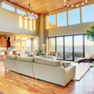 Beautiful Living Room in New Modern Home