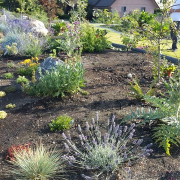 Edible Front Yard