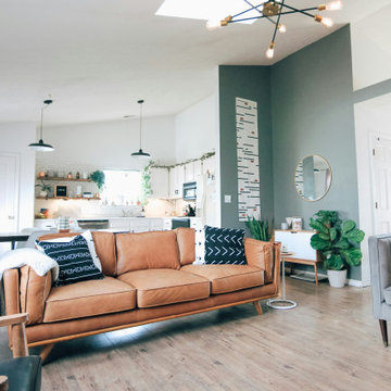 Flex Space & Living Room Remodels