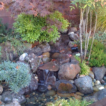 Hillsborough Small Creek