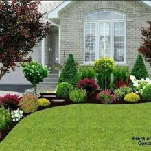 Sams yard