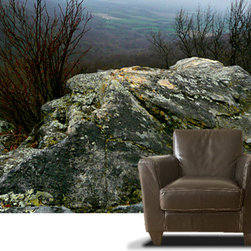 Casart Photography Set 1 - Wallpaper