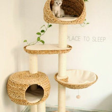 Cat Room/Cat Stuff