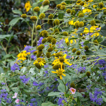 Potomac Kitchen Garden and Outdoor Living Area