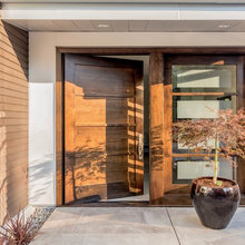 Entrance Doors