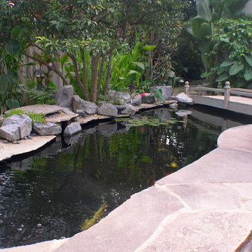 KOI Pond