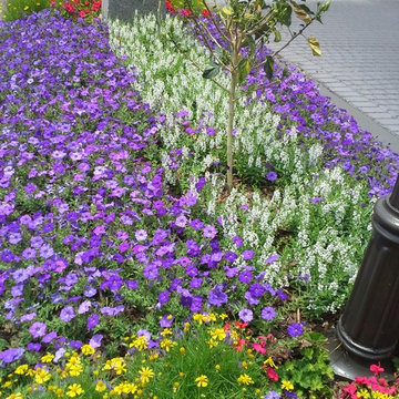 Spring Flower Gardens from Scenic Design Group from 2014