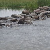Paula Ingeman's photo