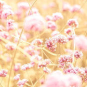 danielle wolters's photo