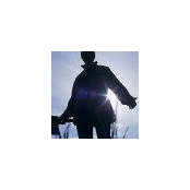 Andrew Brady's photo