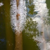 Joel Beaton's photo