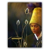 Amani Rahman Naqshbandi's photo