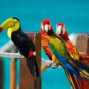 Aida Gomaa's photo