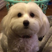 barneycoopersmith's photo