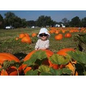 Joan Linthicum's photo