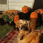 Barbara Williams's photo