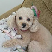Kourtney Goodman's photo