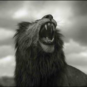 Josh Ordo's photo