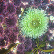 John Hannon's photo