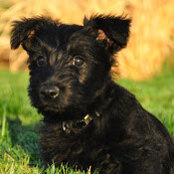 Melissa Holmes's photo