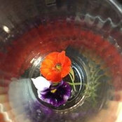 Theresa Drulard's photo