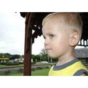 Laurie Crast's photo