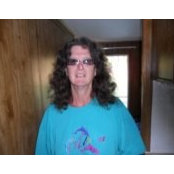 Darcy Stone's photo