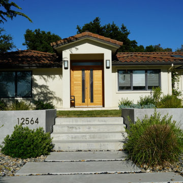 Front Entrance Steps & Planting