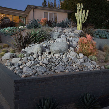 Desert garden in Santa Monica
