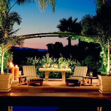 Tropical Night Dream